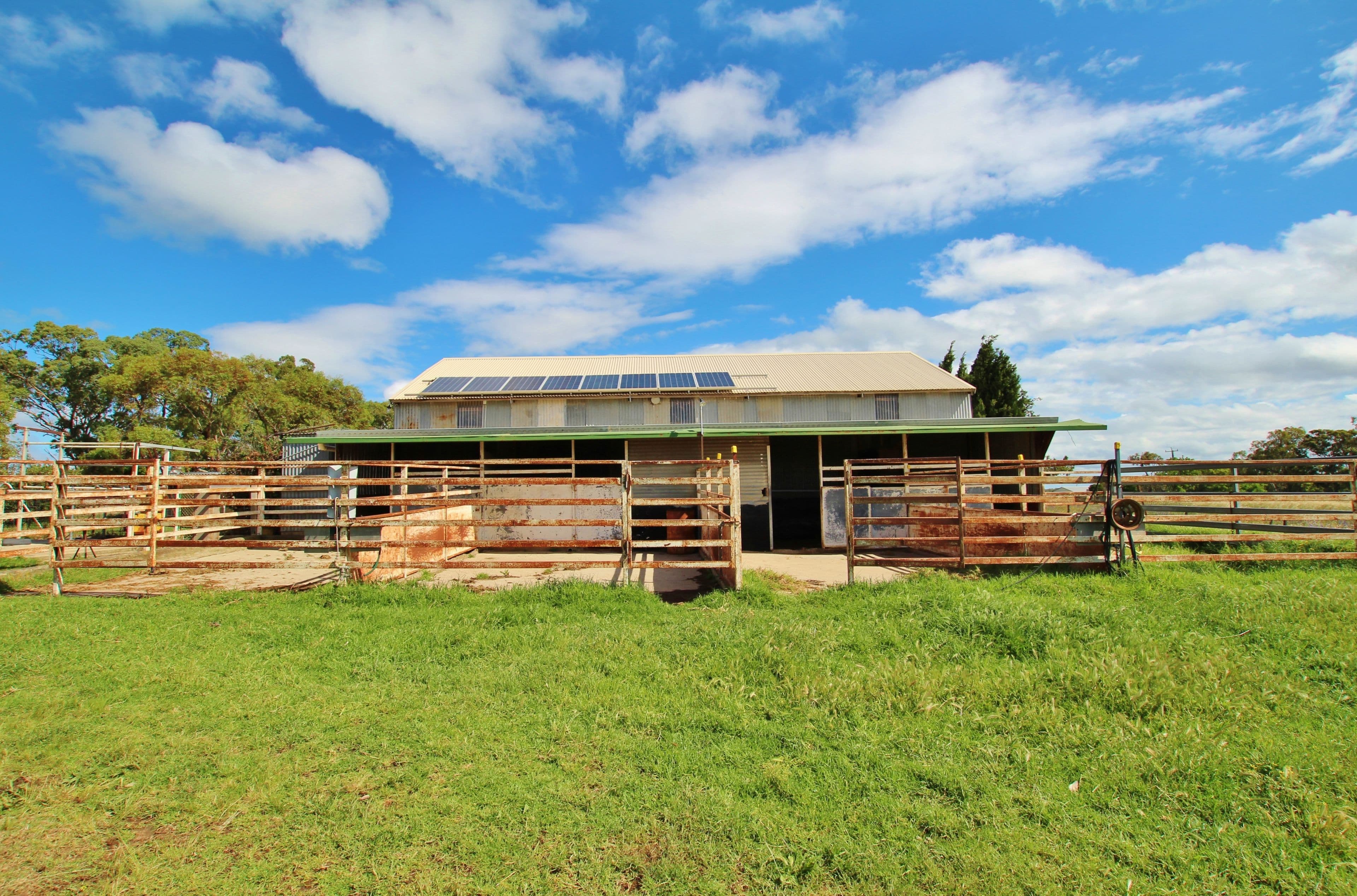 4198 Murringo Road, Young NSW 2594, Young - Thumbnail 5