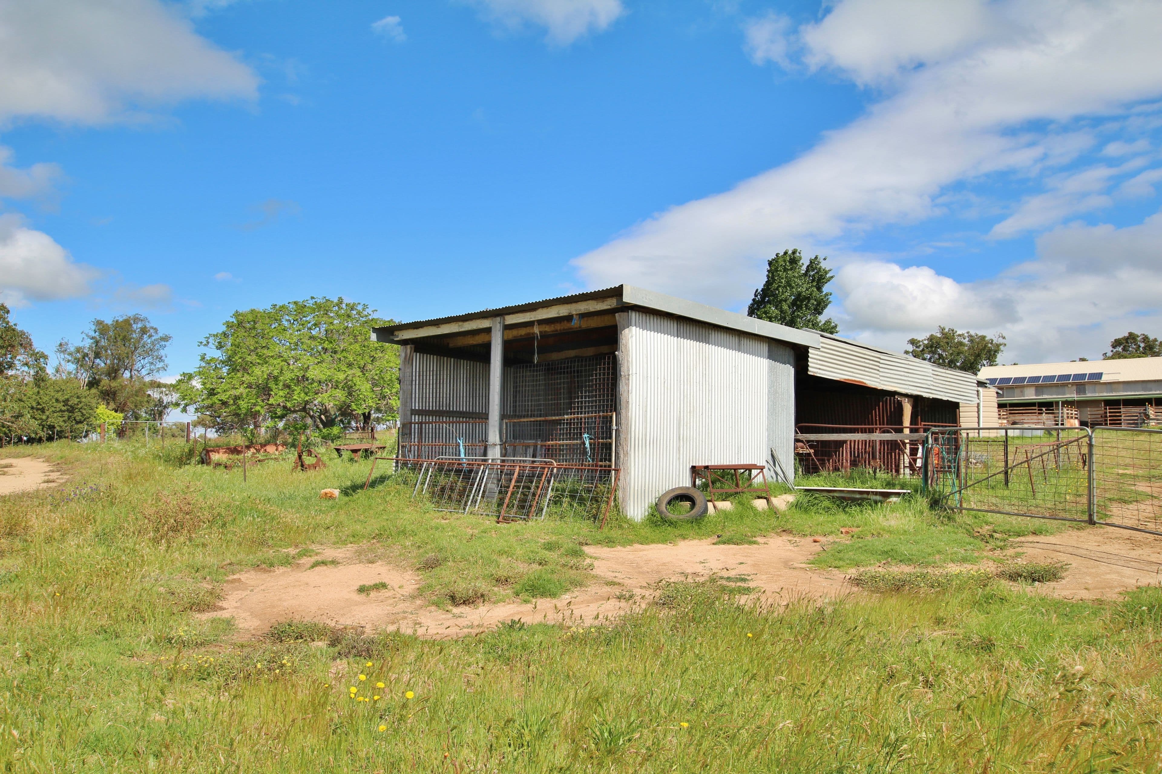 4198 Murringo Road, Young NSW 2594, Young - Thumbnail 8