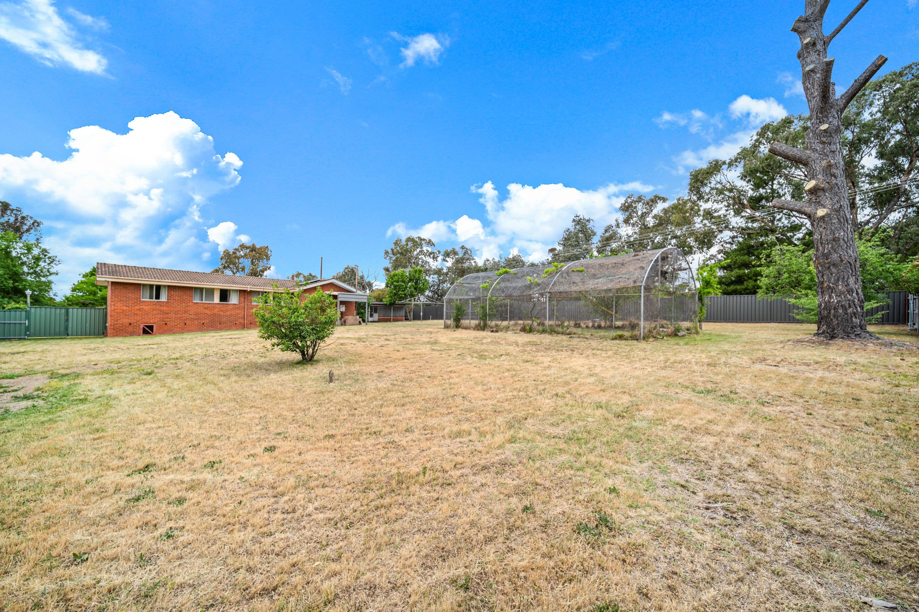82 Pennefather Street, Higgins ACT 2615, Higgins - Thumbnail 2