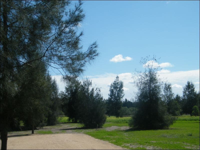 Lot 12 Cleverdon Court, CHINCHILLA QLD 4413, Chinchilla - Thumbnail 4