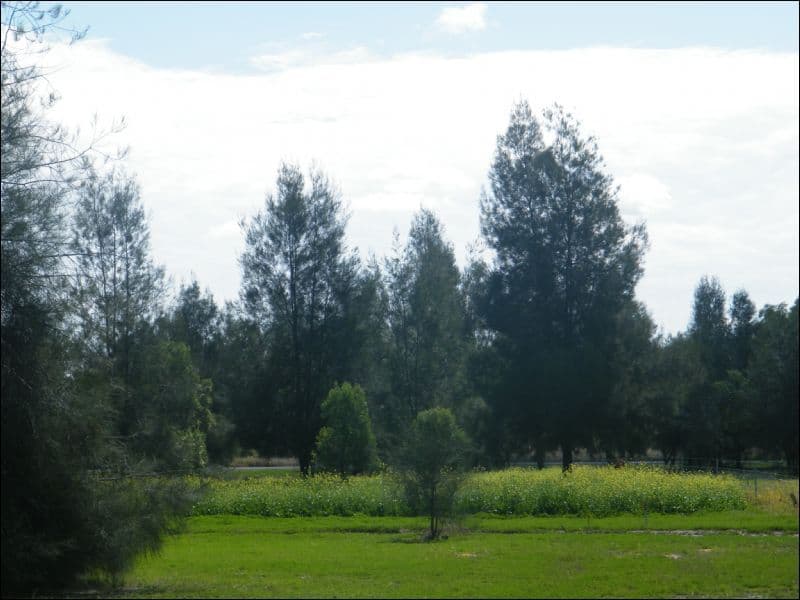 Lot 12 Cleverdon Court, CHINCHILLA QLD 4413, Chinchilla - Thumbnail 6