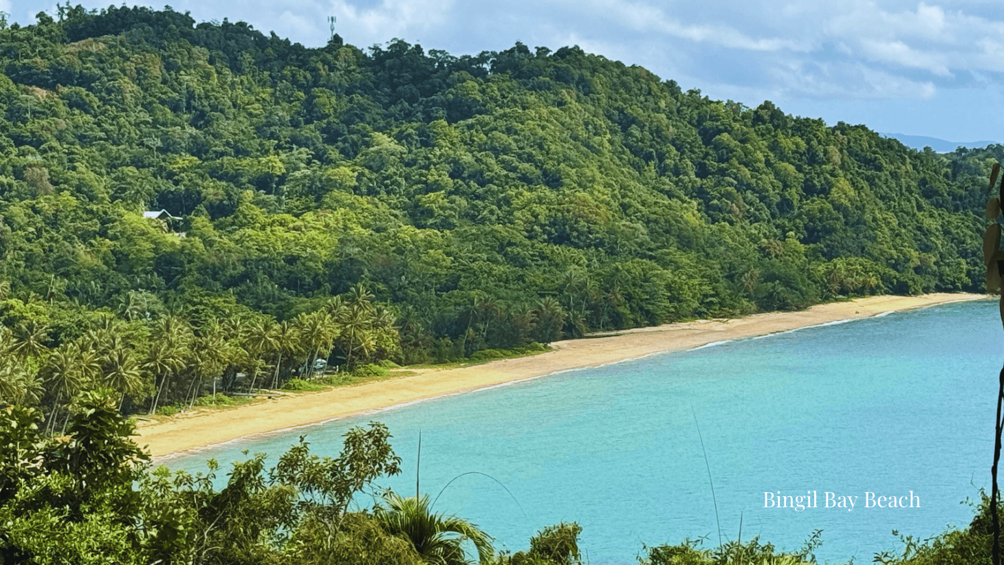 7 Mor-Gan-O Street, Bingil Bay QLD 4852, Bingil Bay - Thumbnail 5