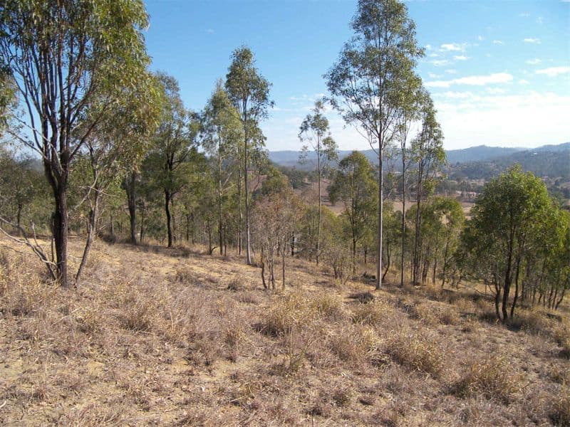 73-77  Markwell Drive, KOORALBYN QLD 4285, Kooralbyn - Thumbnail 3