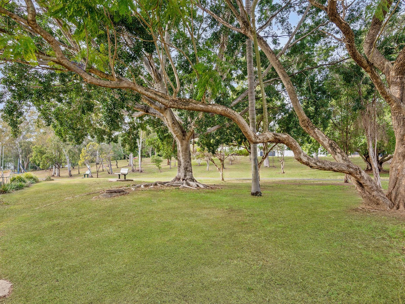 83 Fairley Street, Indooroopilly QLD 4068, Indooroopilly - Thumbnail 4