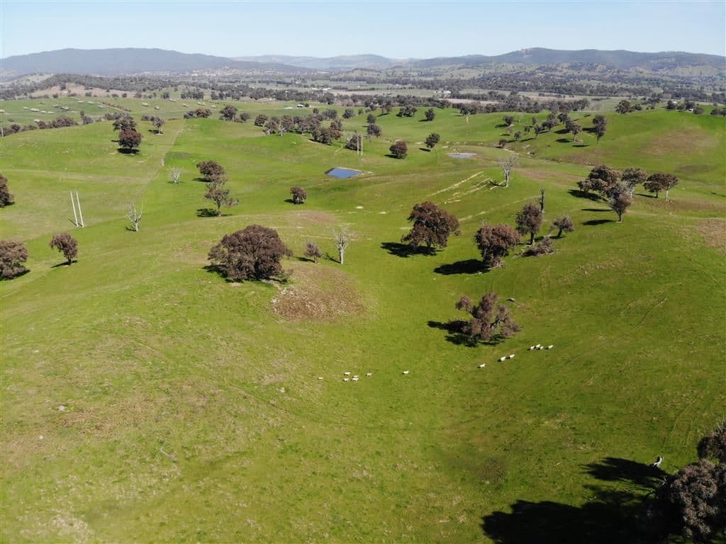128 Brungle Road, Tumut NSW 2720, Tumut - Thumbnail 2