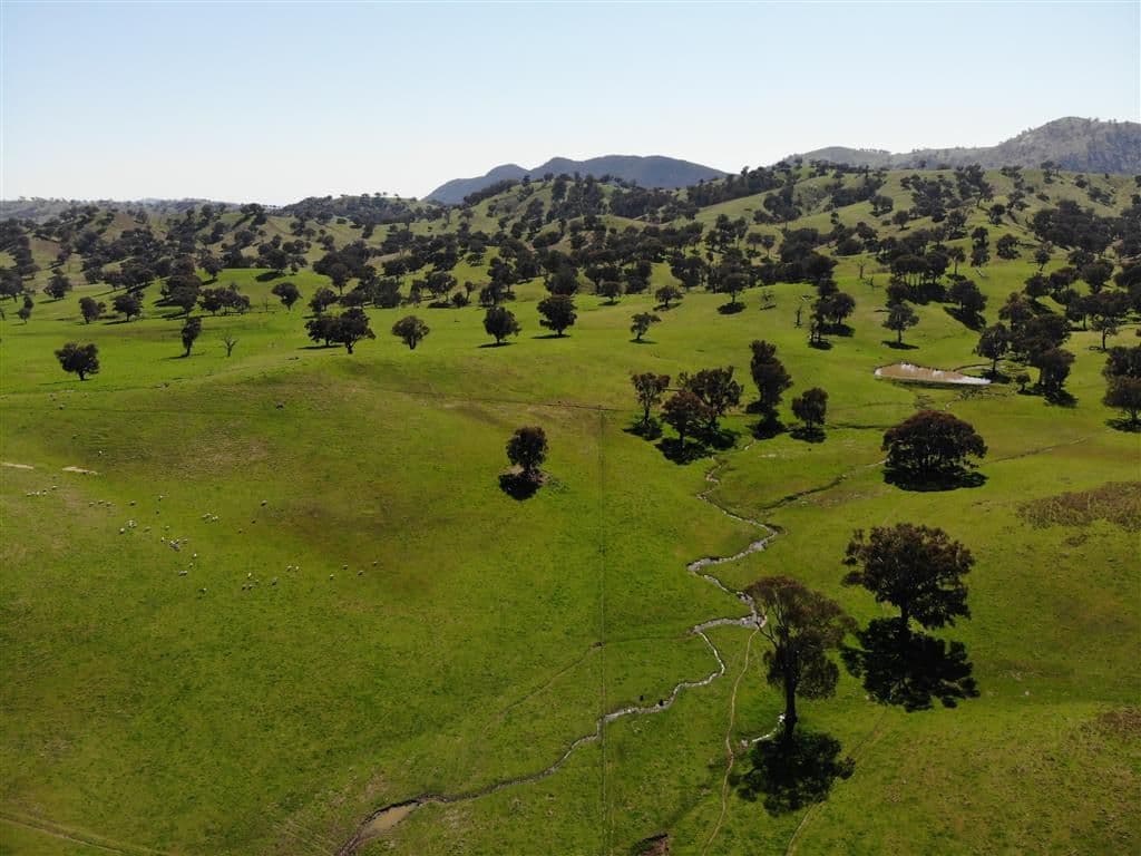 128 Brungle Road, Tumut NSW 2720, Tumut - Thumbnail 3