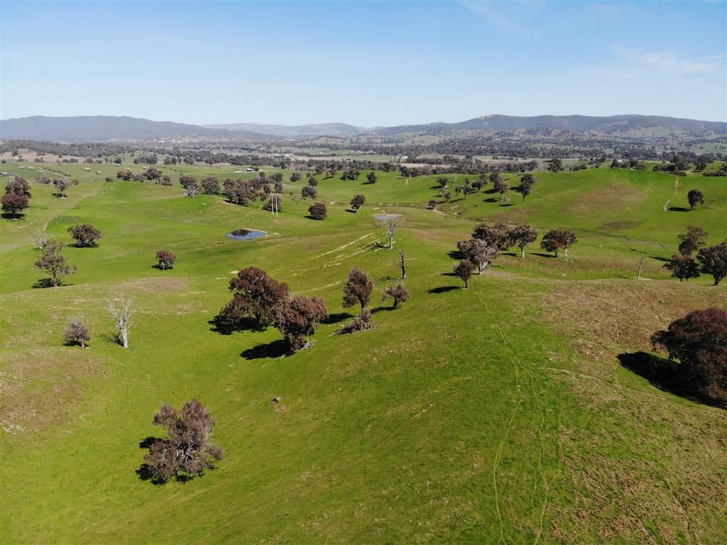 128 Brungle Road, Tumut NSW 2720, Tumut - Thumbnail 4