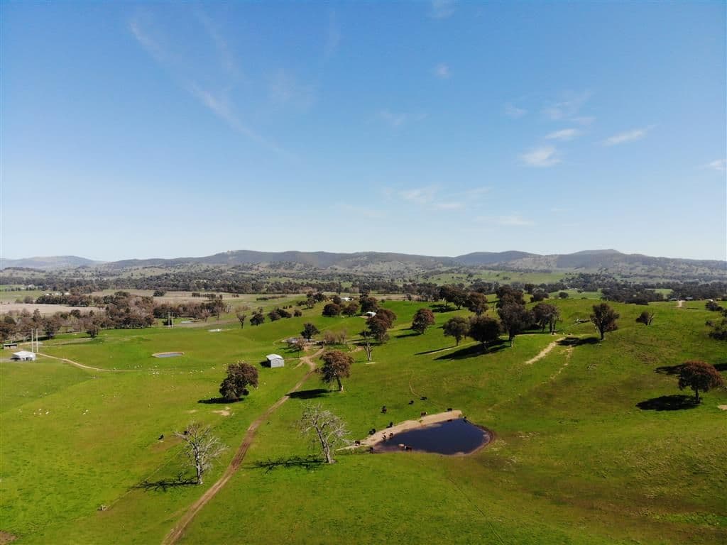 128 Brungle Road, Tumut NSW 2720, Tumut - Thumbnail 5