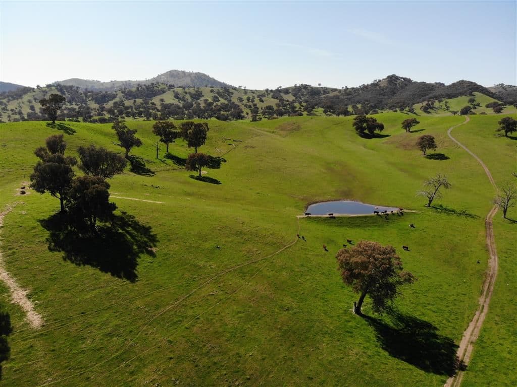 128 Brungle Road, Tumut NSW 2720, Tumut - Thumbnail 7