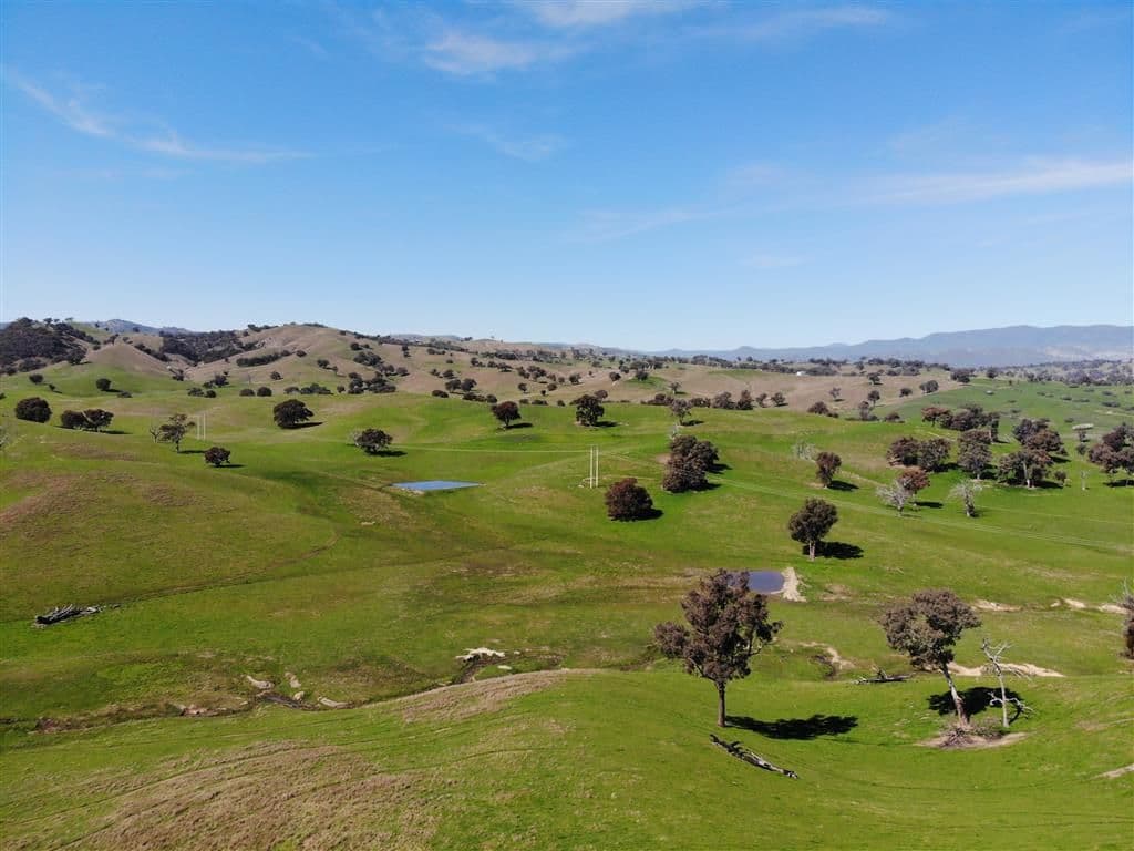 128 Brungle Road, Tumut NSW 2720, Tumut - Thumbnail 8