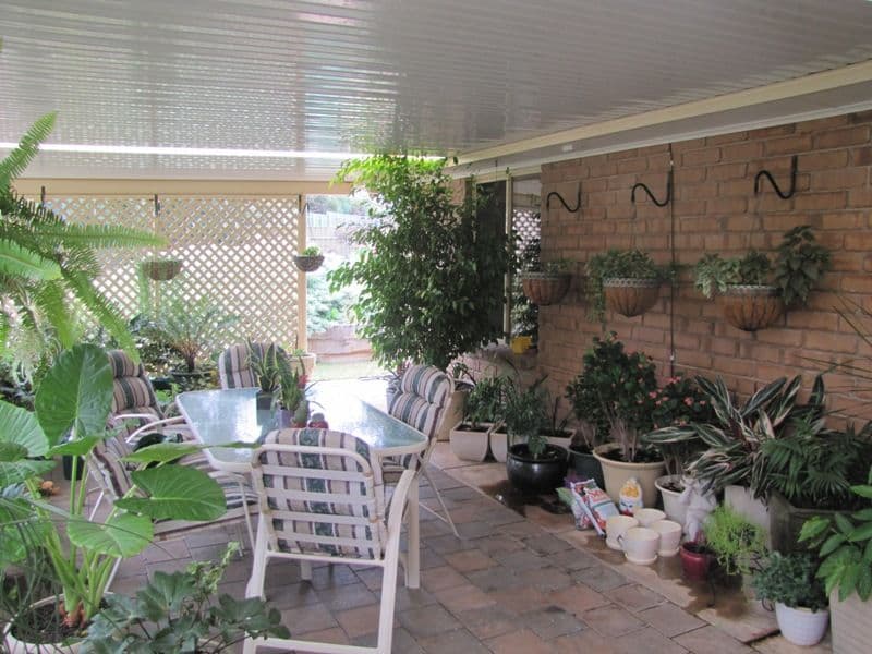 43 Brooks Avenue, WILLASTON SA 5118, Willaston - Thumbnail 8