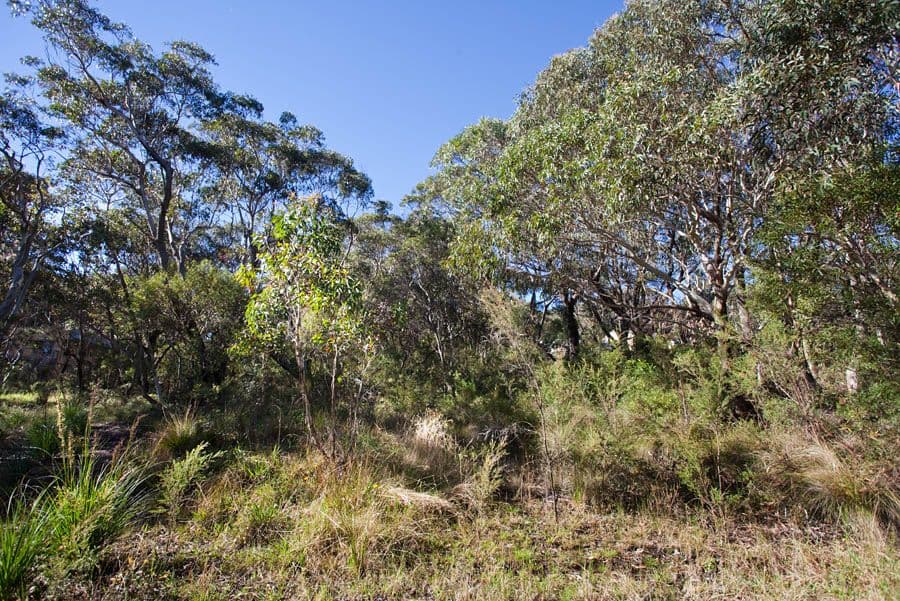 63 Bettington Road, BLACKHEATH NSW 2785, Blackheath - Image 1