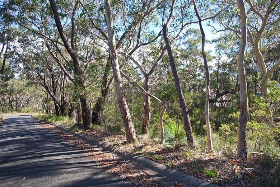 63 Bettington Road, BLACKHEATH NSW 2785, Blackheath - Thumbnail 2