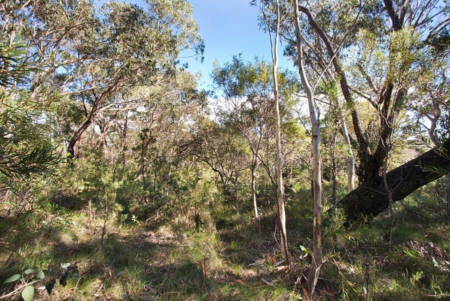 63 Bettington Road, BLACKHEATH NSW 2785, Blackheath - Thumbnail 3