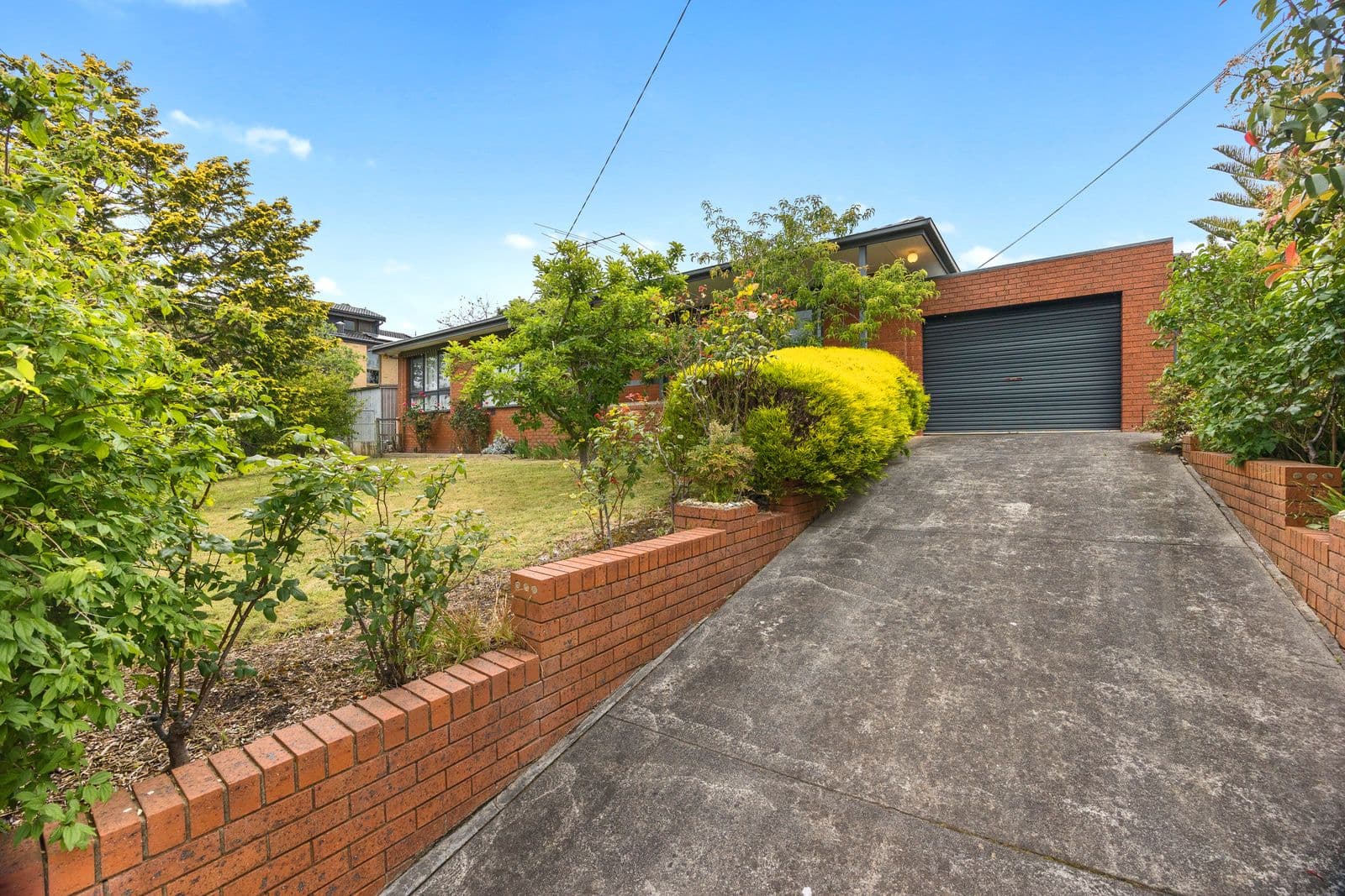 19 The Wallaby Run, Chirnside Park VIC 3116, Chirnside Park - Thumbnail 2