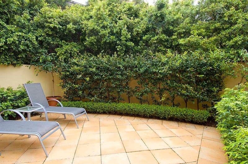 16 King Street, Waverton NSW 2060, Waverton - Thumbnail 6
