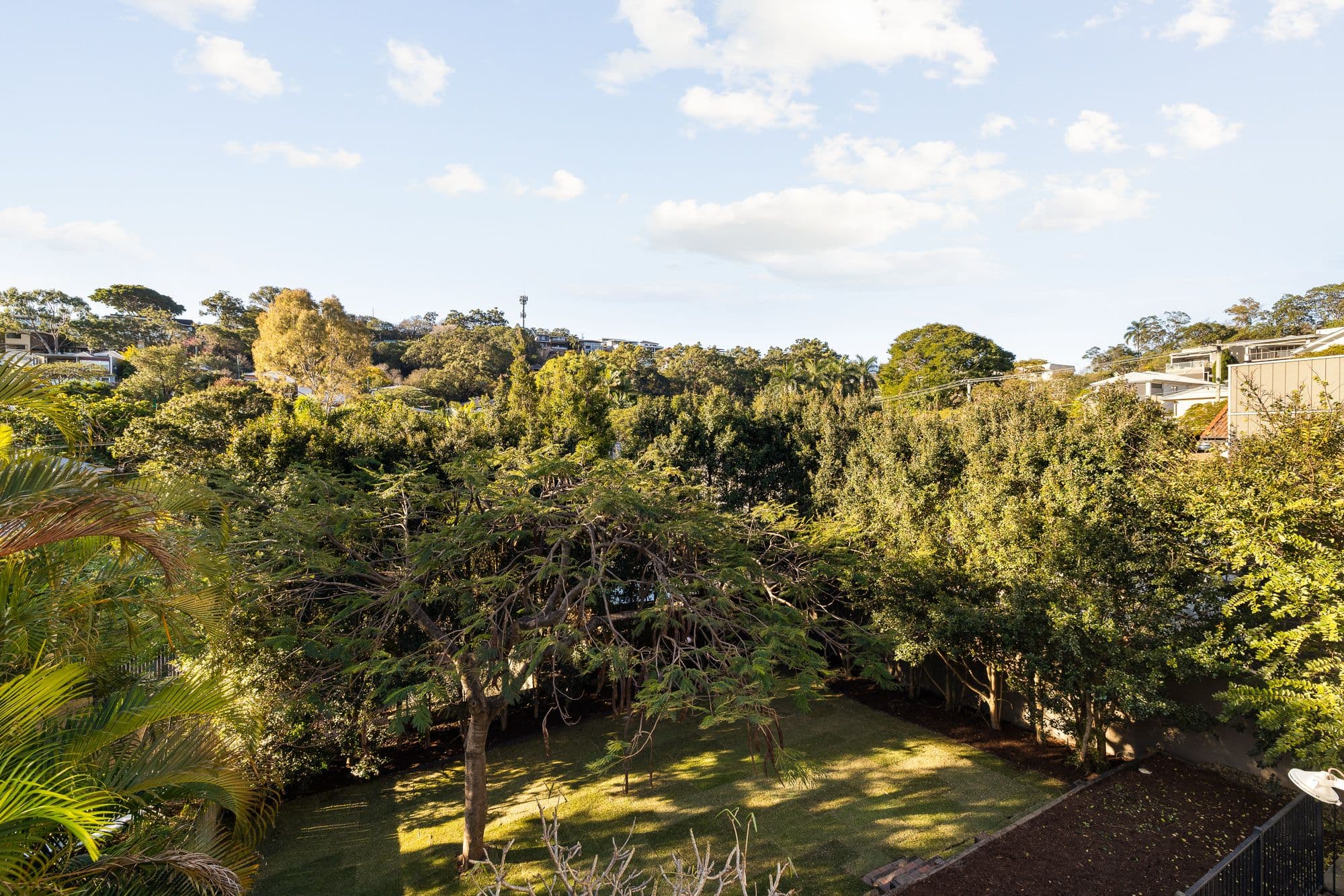 46 Joynt Street, Hamilton QLD 4007, Hamilton - Thumbnail 7