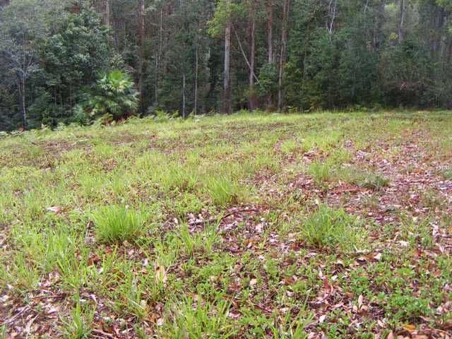 80 Pheasant Lane, DOONAN QLD 4562, Doonan - Thumbnail 3