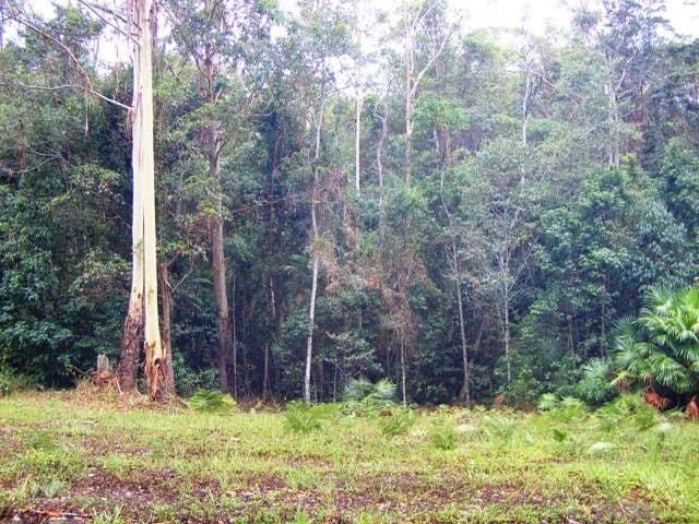 80 Pheasant Lane, DOONAN QLD 4562, Doonan - Thumbnail 4