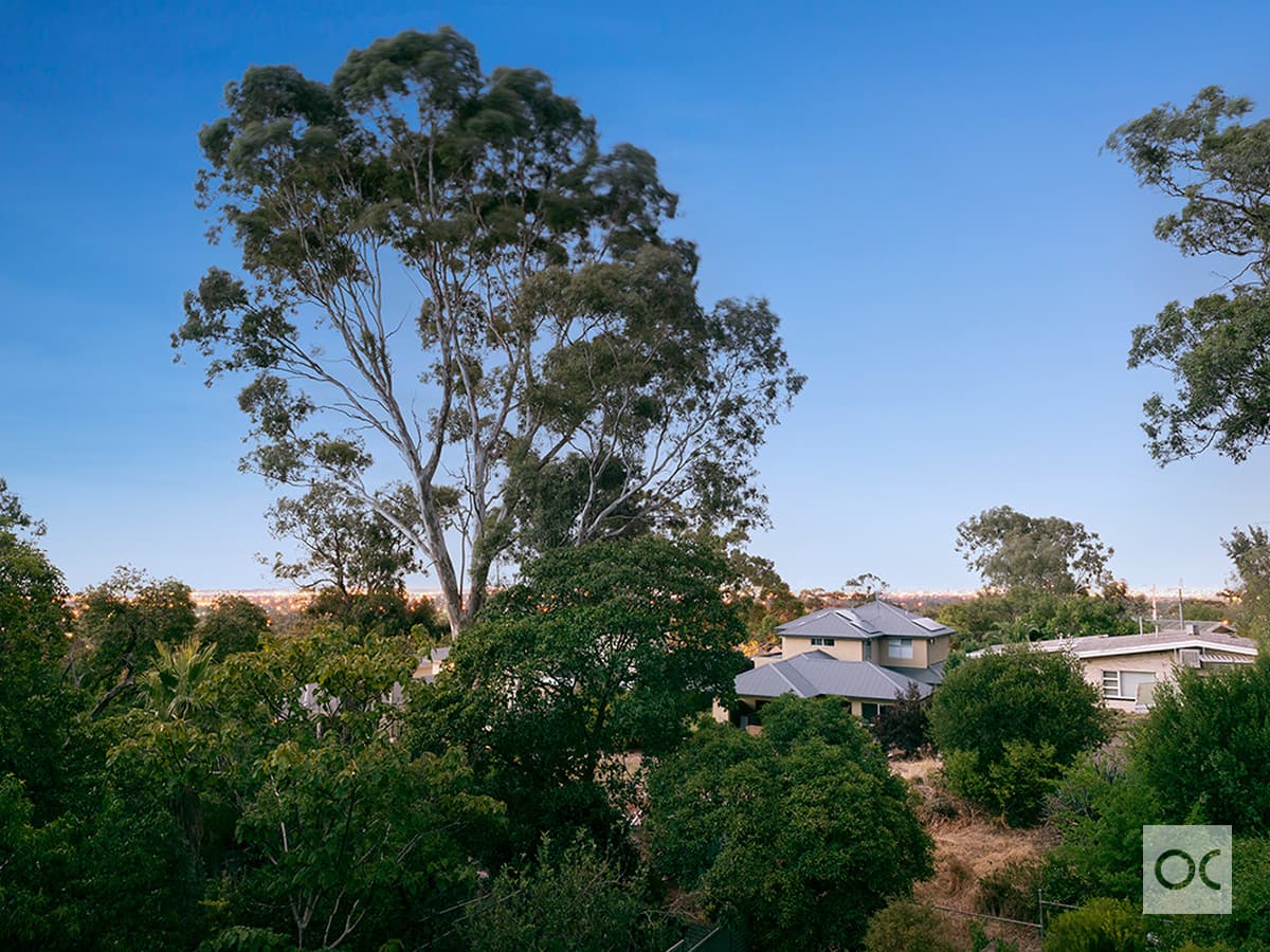 18 Barretts Road, Torrens Park - Thumbnail 4
