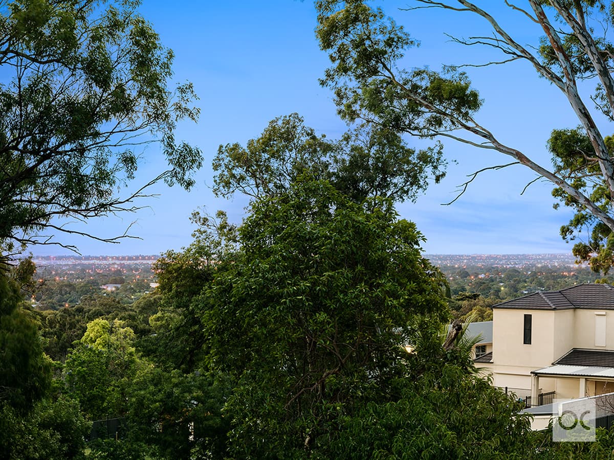 18 Barretts Road, Torrens Park - Thumbnail 5