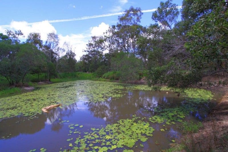 346 Ten Mile Road, SHARON QLD 4670, Sharon - Thumbnail 2
