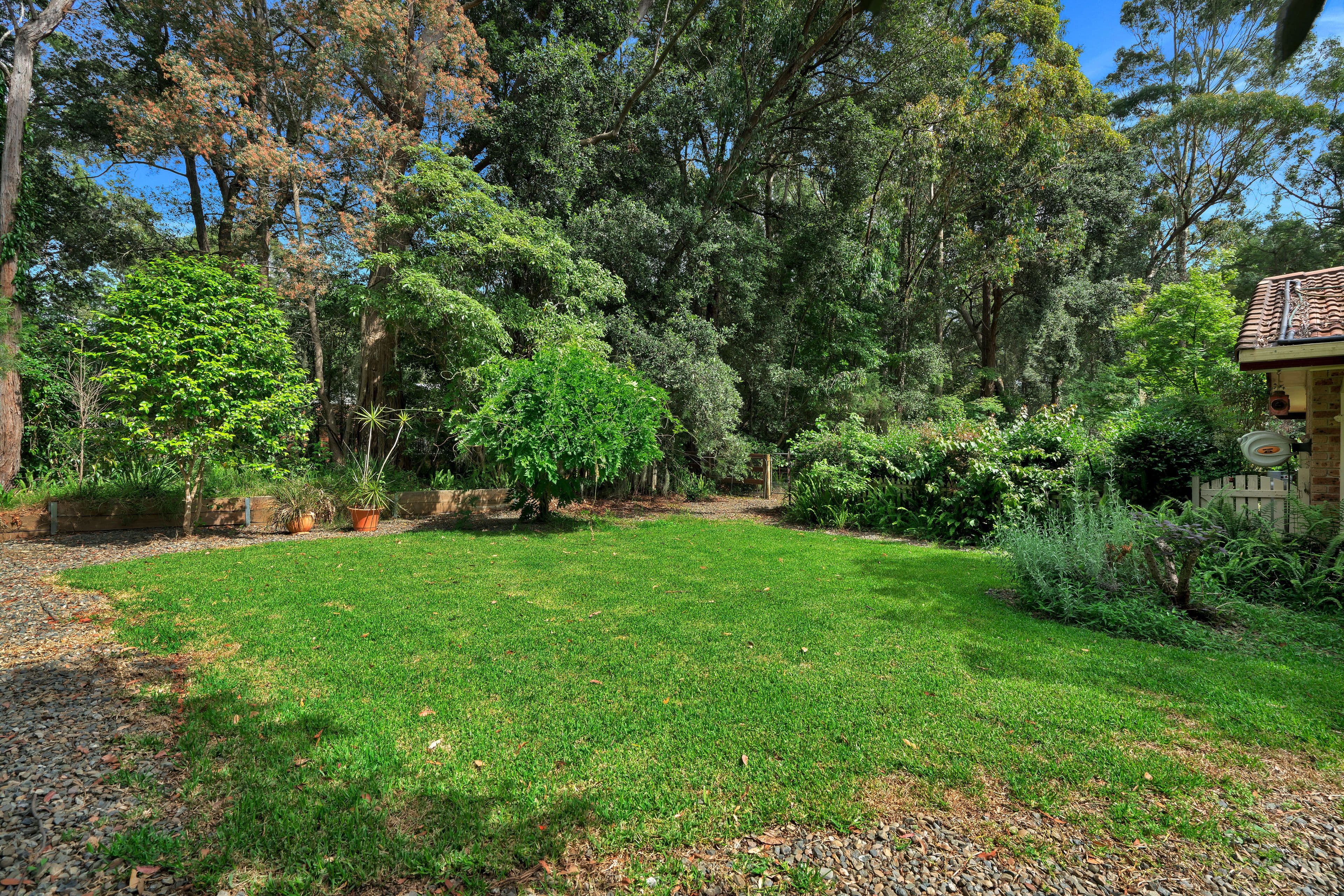 326 Illaroo Road, Bangalee NSW 2541, Bangalee - Thumbnail 3
