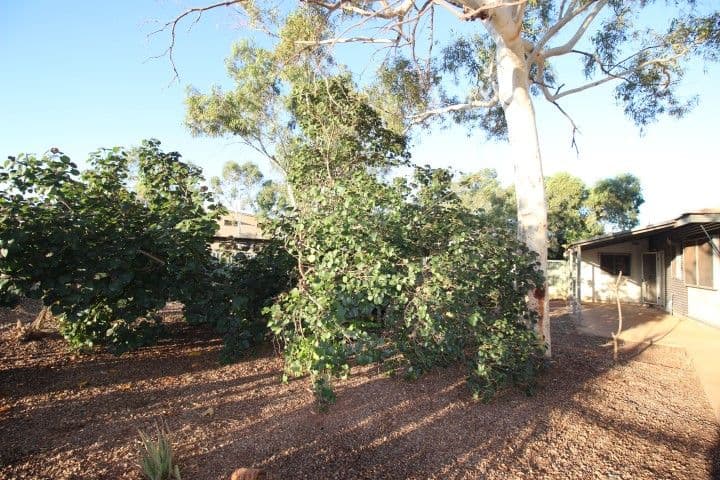 34 Roberts Street, South Hedland WA 6722, South Hedland - Thumbnail 5