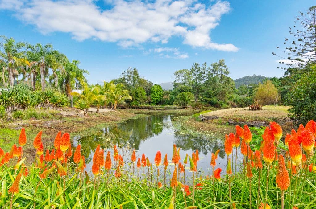 507 Currumbin Creek Road, CURRUMBIN VALLEY QLD 4223, Currumbin Valley - Image 1