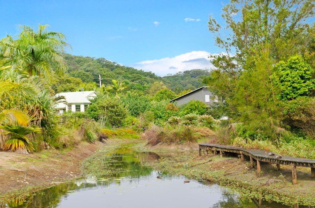 507 Currumbin Creek Road, CURRUMBIN VALLEY QLD 4223, Currumbin Valley - Thumbnail 4
