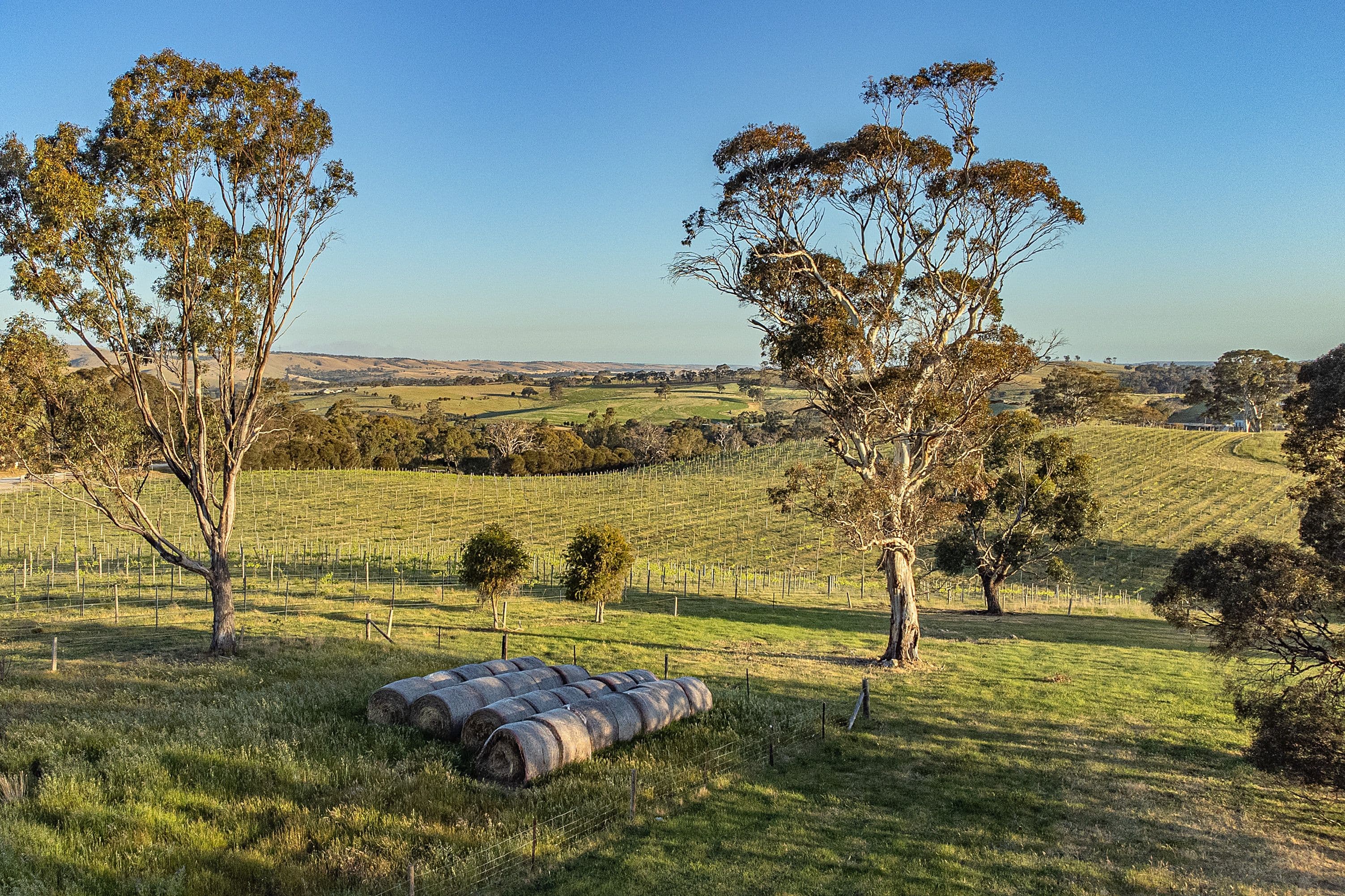 1247 Harrogate Road, Harrogate SA 5244, Harrogate - Thumbnail 4