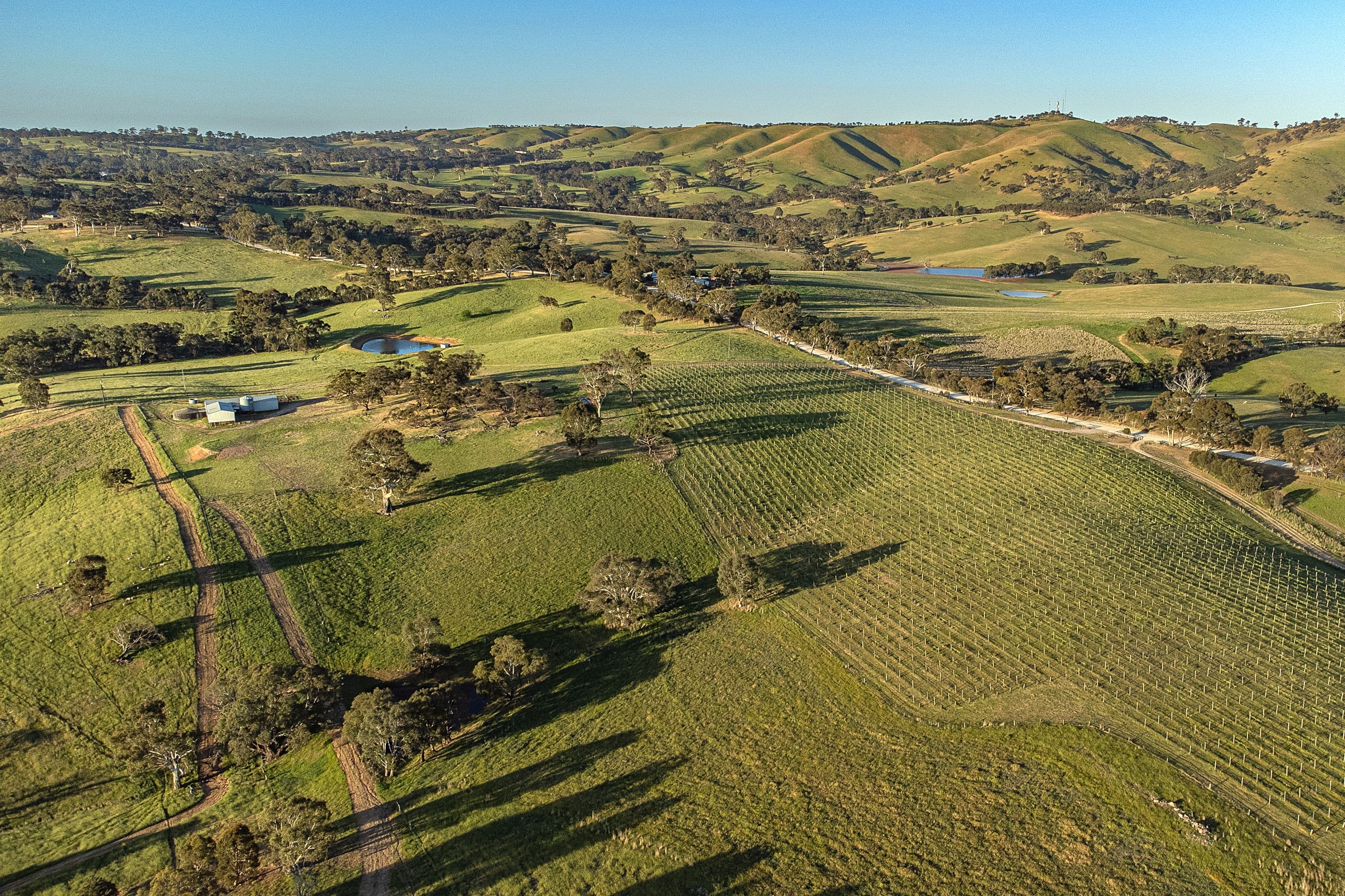 1247 Harrogate Road, Harrogate SA 5244, Harrogate - Thumbnail 5
