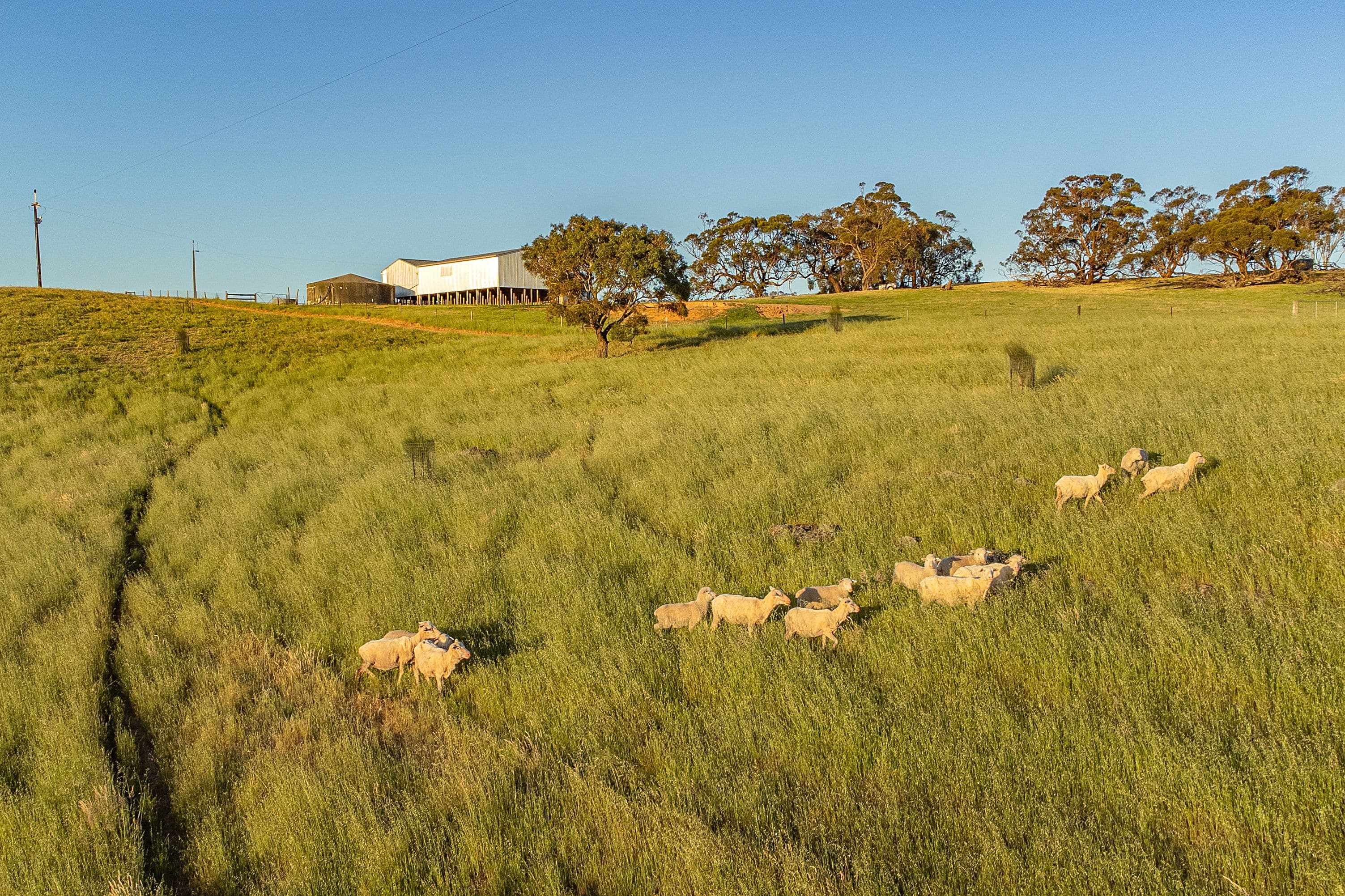 1247 Harrogate Road, Harrogate SA 5244, Harrogate - Thumbnail 7