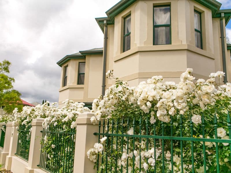 9 Thiele Grove, Kensington Park SA 5068, Kensington Park - Thumbnail 8