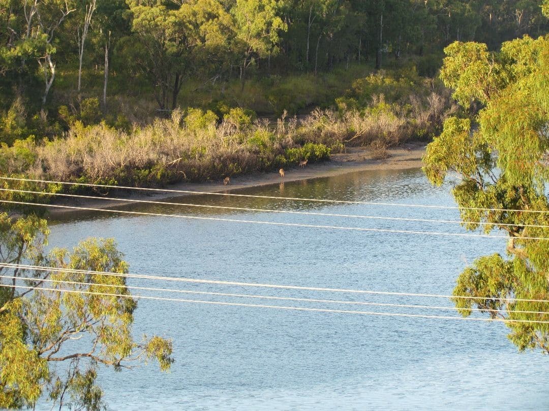 13 Richard Street, Boyne Island QLD 4680, Boyne Island - Thumbnail 6