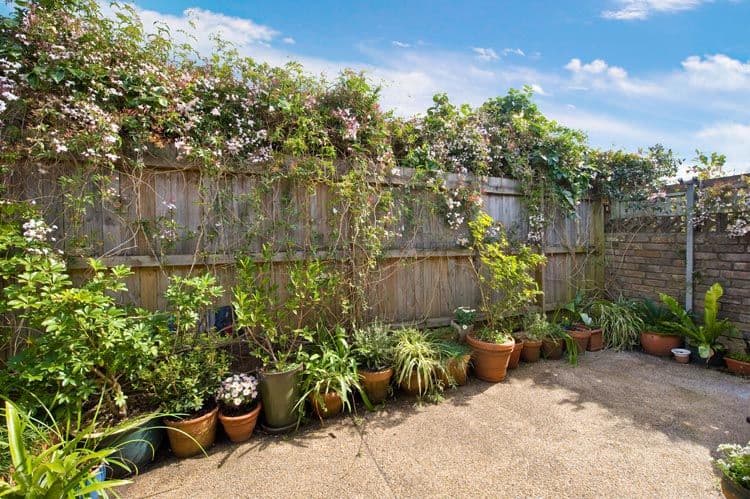 28 Jarvie Avenue, PETERSHAM NSW 2049, Petersham - Thumbnail 3