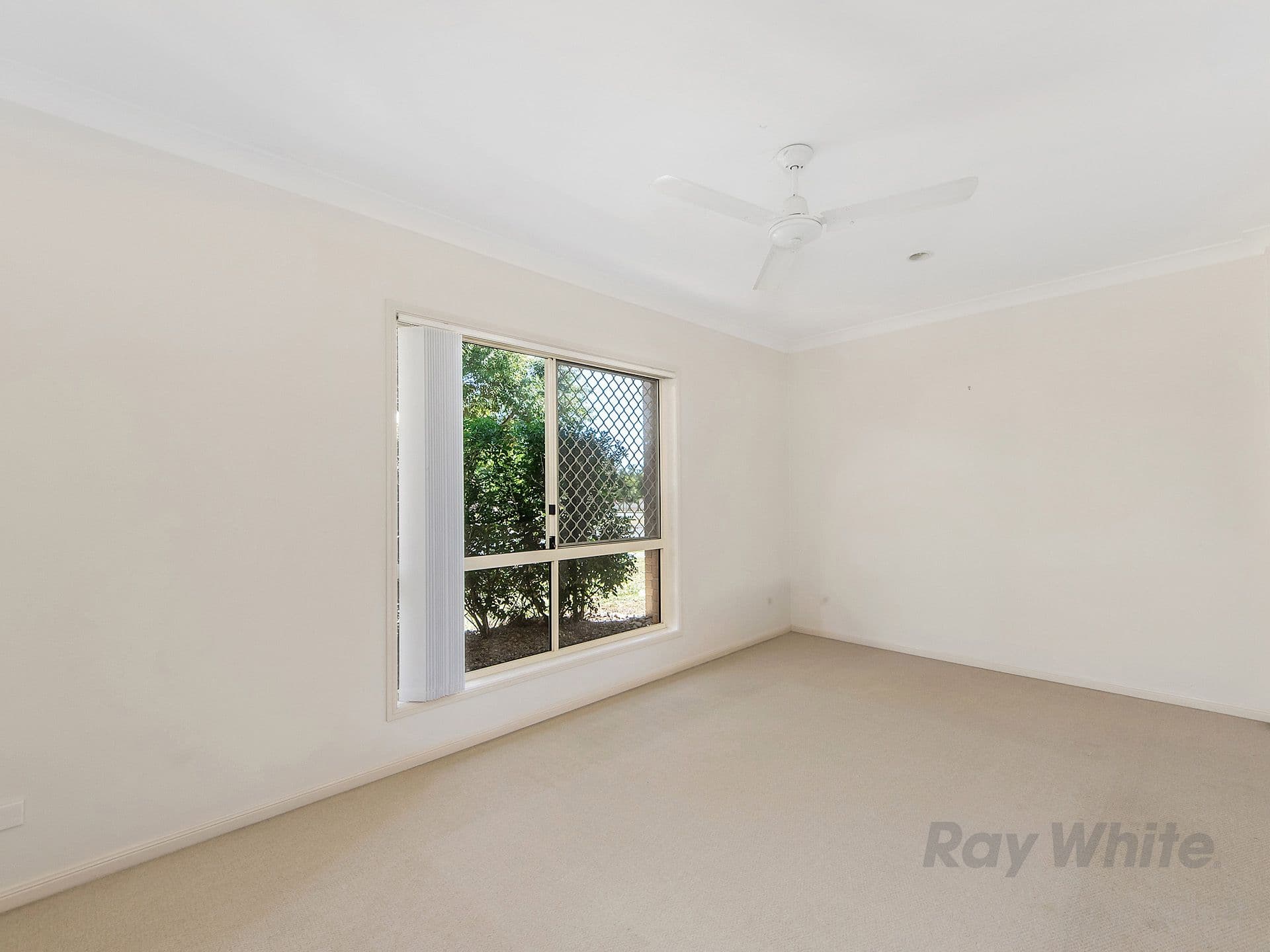 2 Rourke Street, Mudgeeraba QLD 4213, Mudgeeraba - Thumbnail 6