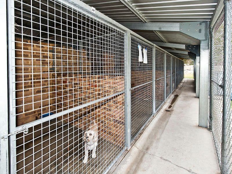20 Fraser Road, CANNING VALE WA 6155, Canning Vale - Thumbnail 2