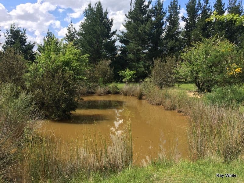 51 Long Flat Lane, Majors Creek NSW 2622, Majors Creek - Thumbnail 5