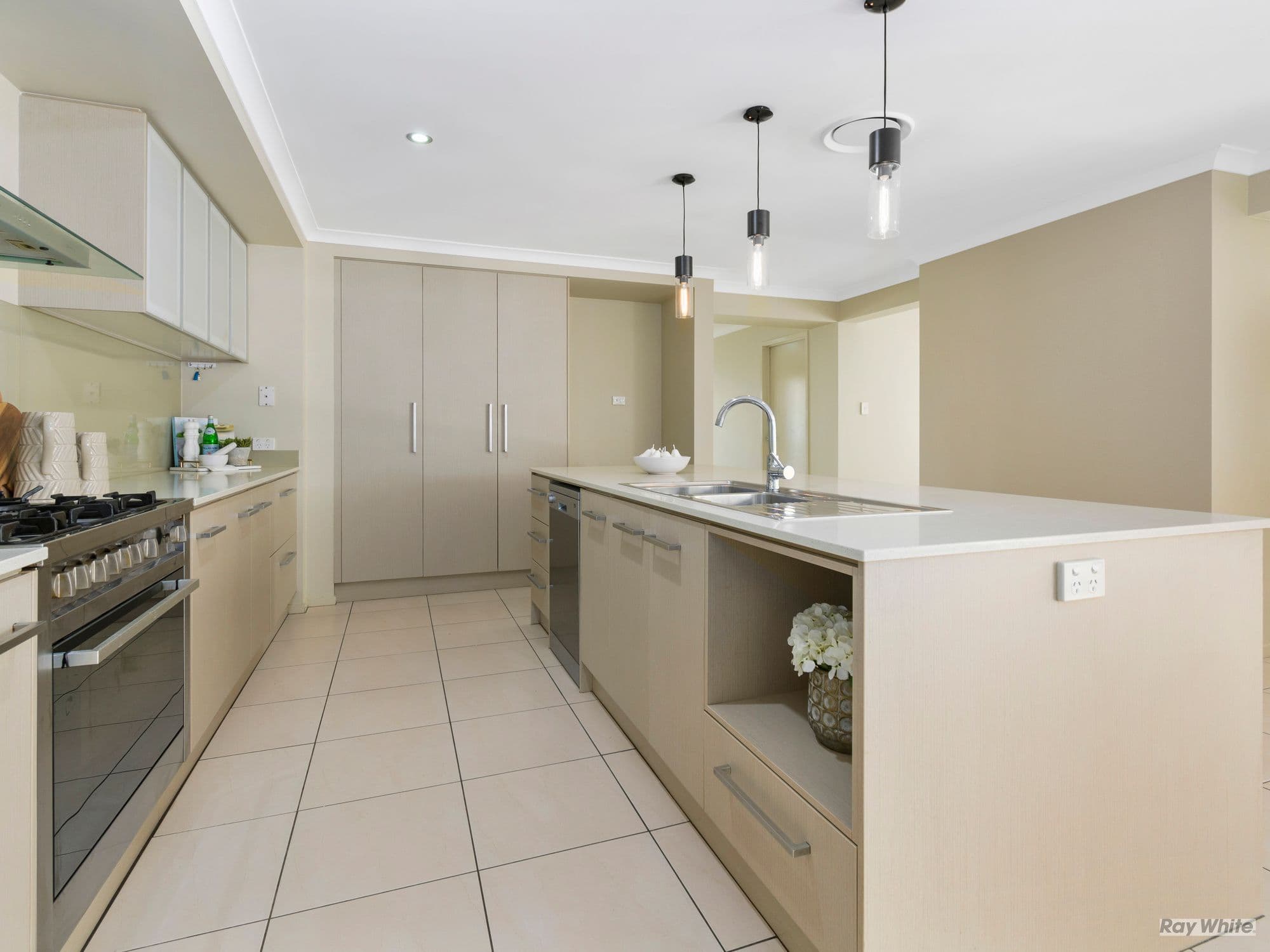 55 Harold Reinhardt Drive, Redbank Plains QLD 4301, Redbank Plains - Thumbnail 4