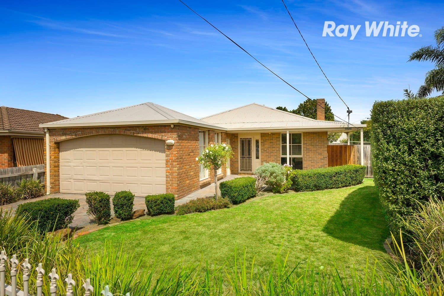 6 Holland Avenue, Dingley Village VIC 3172, Dingley Village - Image 1