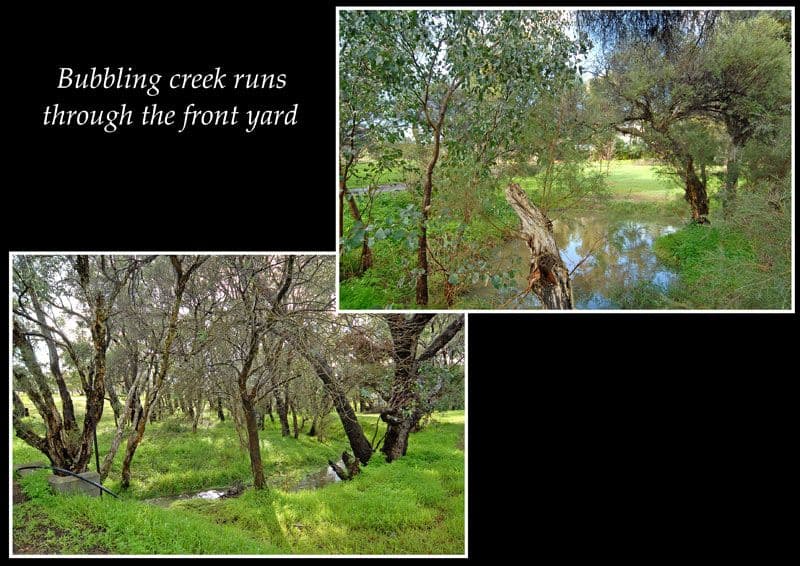 10 Adams Road, RED HILL WA 6056, Red Hill - Thumbnail 3