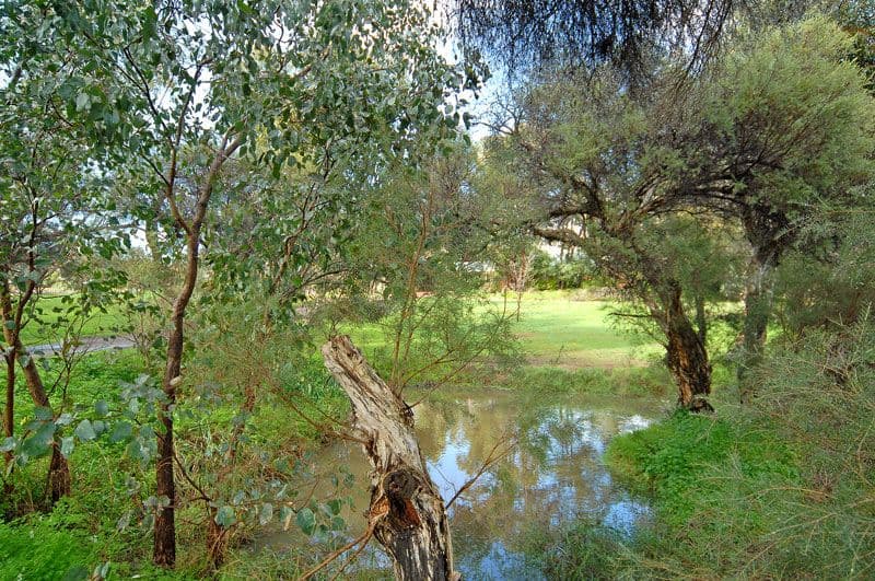 10 Adams Road, RED HILL WA 6056, Red Hill - Thumbnail 4
