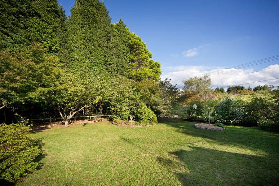 69 Hargraves Street, BLACKHEATH NSW 2785, Blackheath - Thumbnail 4