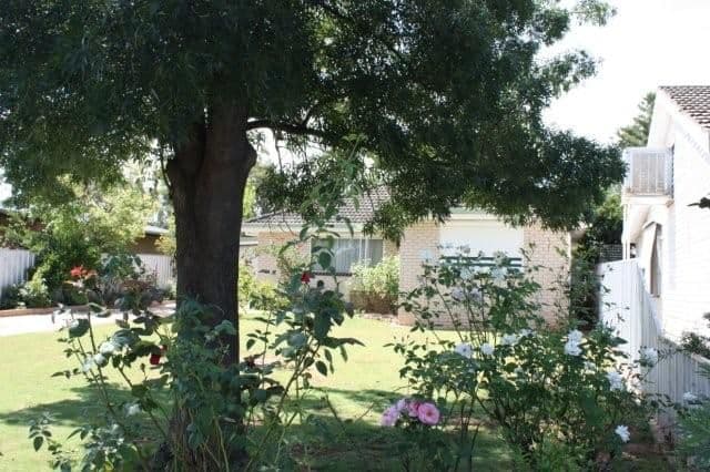62 Wanstead Street, COROWA NSW 2646, Corowa - Thumbnail 8