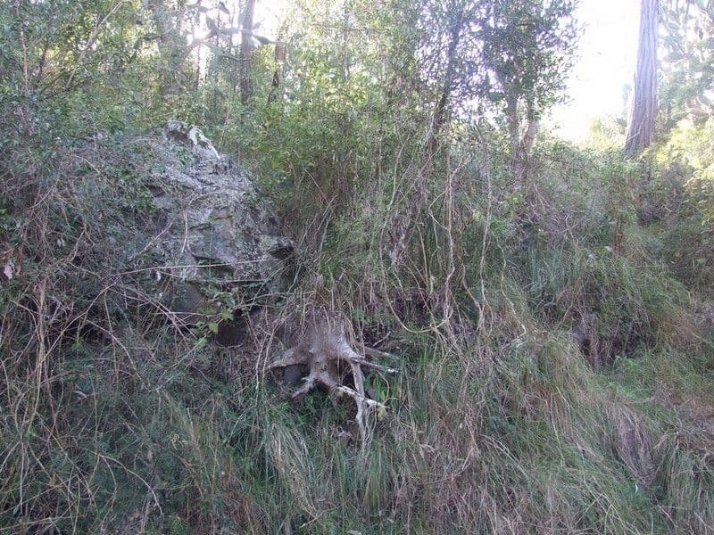 00 Pechey-Maclagan Road, GROOMSVILLE QLD 4352, Groomsville - Thumbnail 3