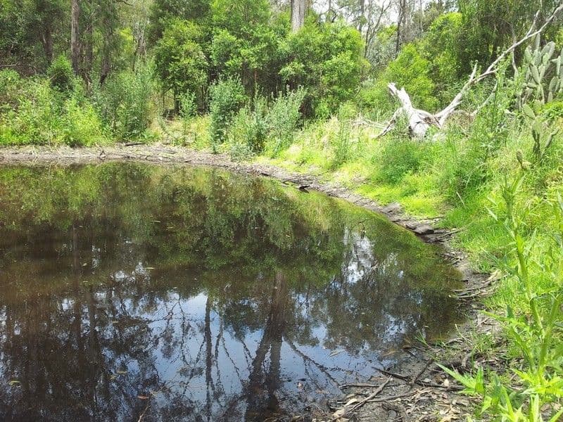 00 Pechey-Maclagan Road, GROOMSVILLE QLD 4352, Groomsville - Thumbnail 4