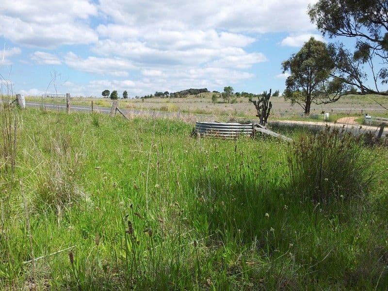00 Pechey-Maclagan Road, GROOMSVILLE QLD 4352, Groomsville - Thumbnail 5