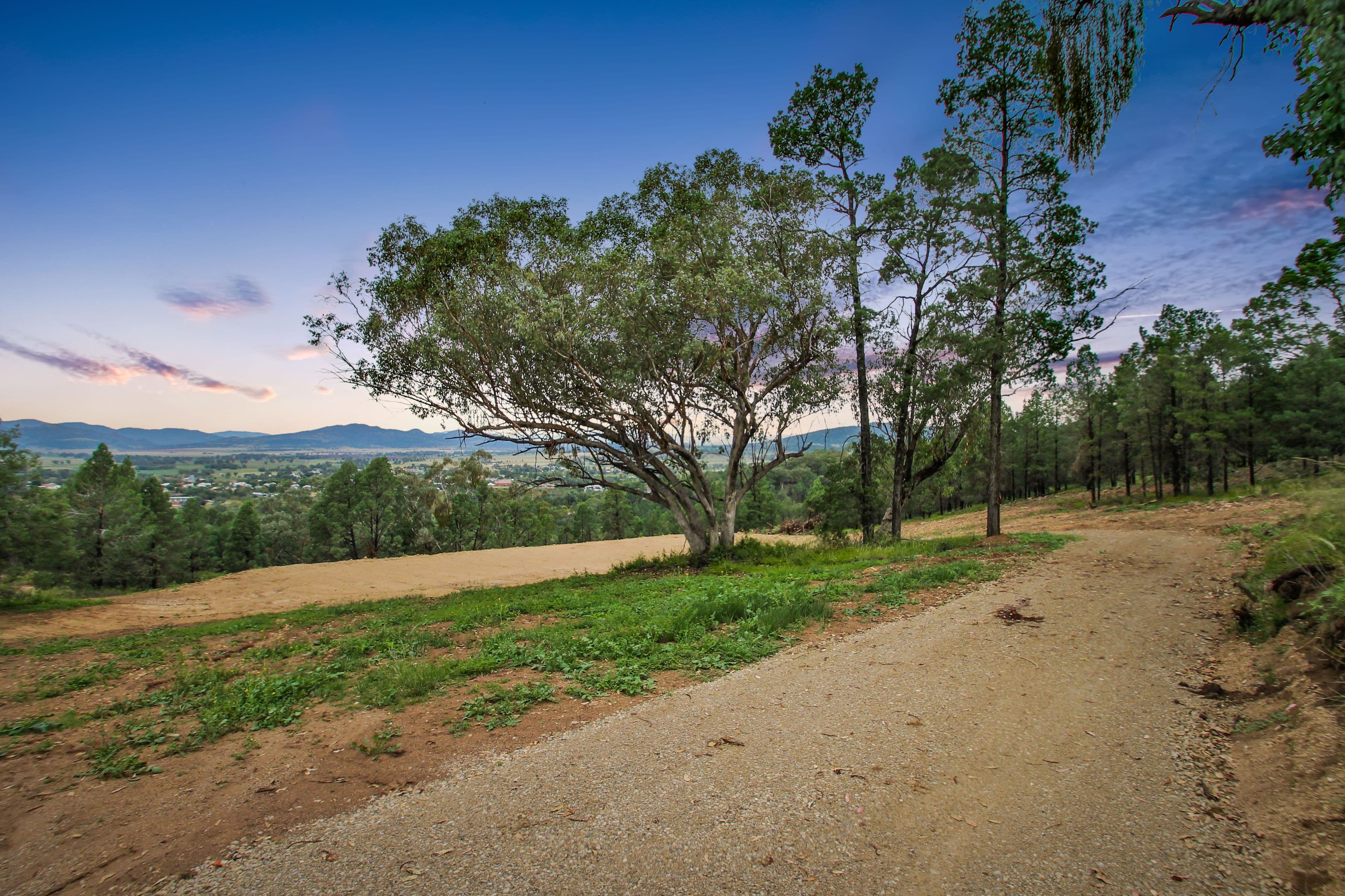 51 Ray Carter Drive, Quirindi NSW 2343, Quirindi - Thumbnail 4