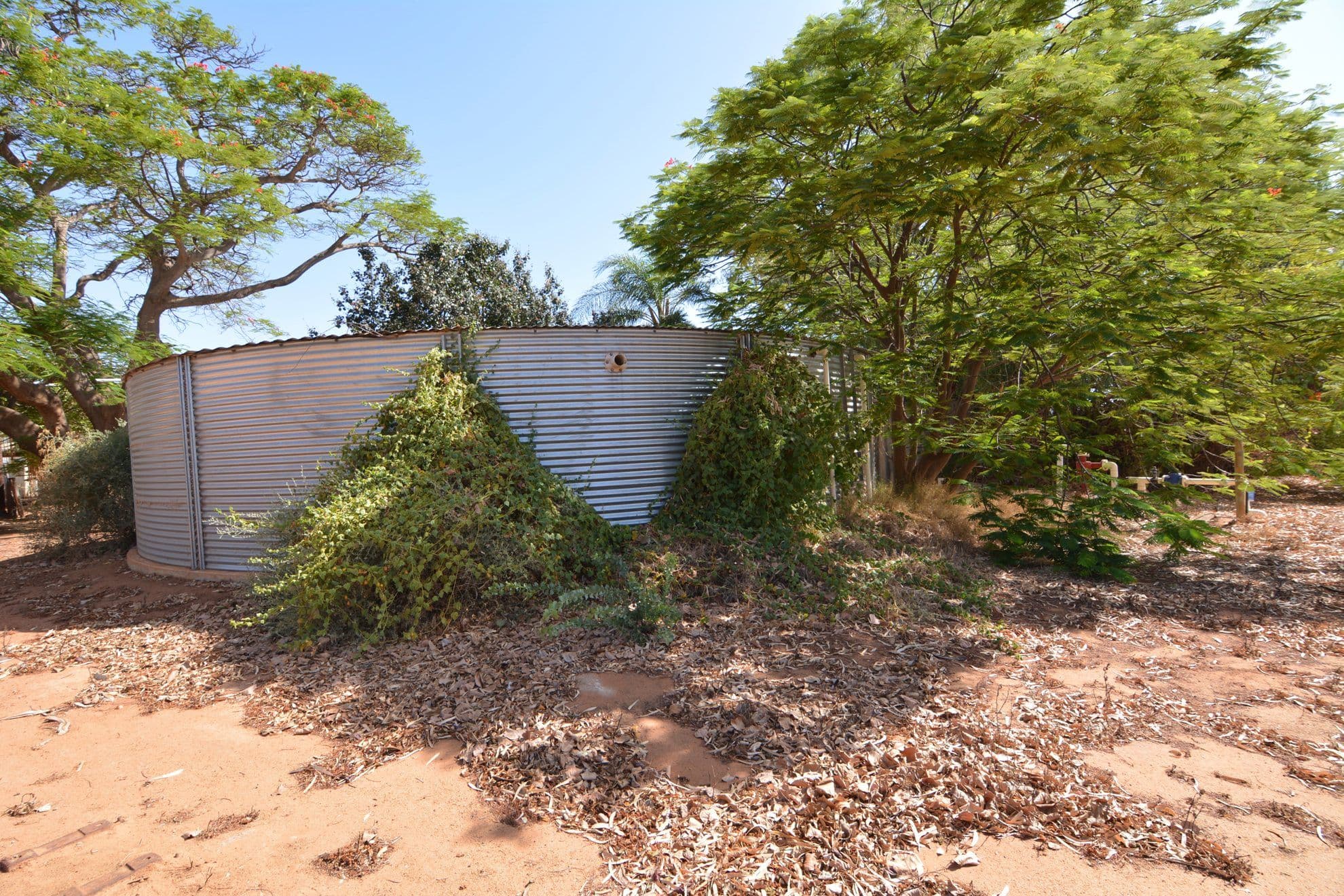 472 South River Road, Carnarvon WA 6701, Carnarvon - Image 1
